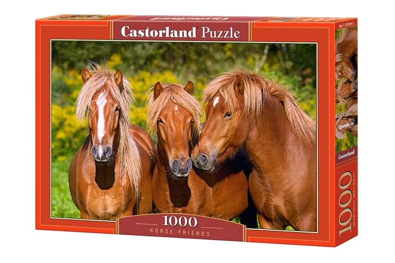 Obrazek pudełka